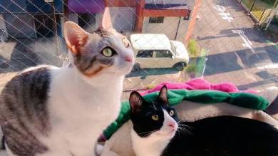 くろまめ＆とうふ