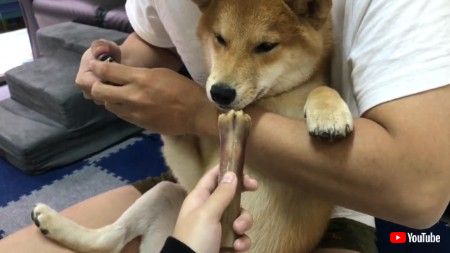 爪きりワンコ