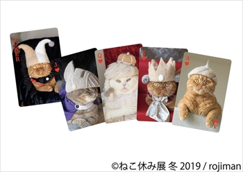 ねこ休み展