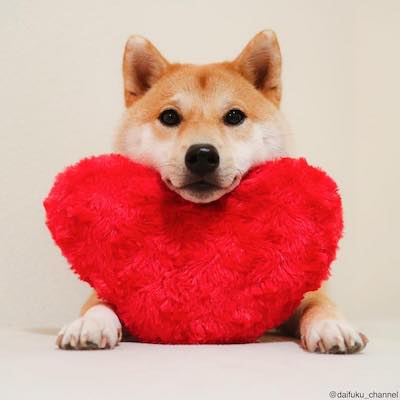 ハートをぎゅっ