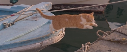 ねことじいちゃん特別映像