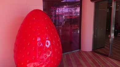 東京ストロベリーパーク玄関