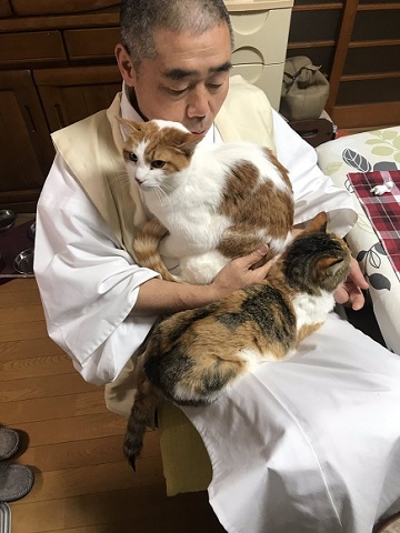 那須 長楽寺 猫 住職