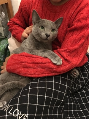 マイペリドットカフェ