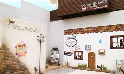 マイペリドットカフェ