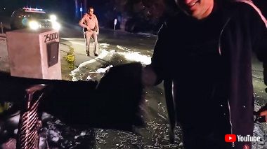 マクラーレン・セナ 炎上 廃車 スーパーカー