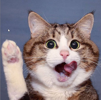 舌ベロ出てるレキシーくん