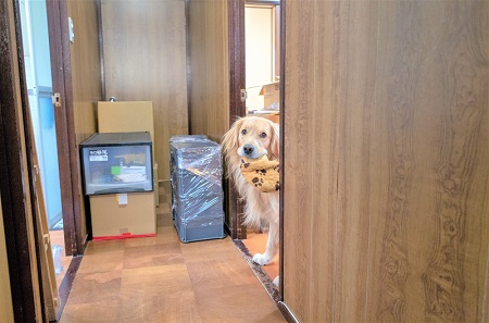 こー君　ススキ