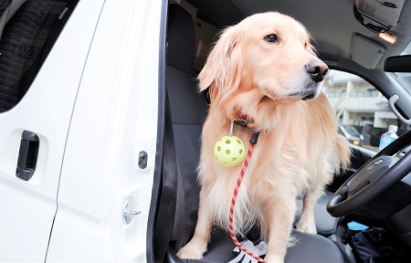 こー君　ススキ