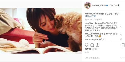 夏菜 こむぎ 新しい王様 犬 トイプー マルチーズ