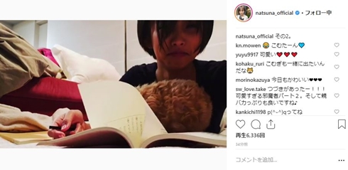 夏菜 こむぎ 新しい王様 犬 トイプー マルチーズ