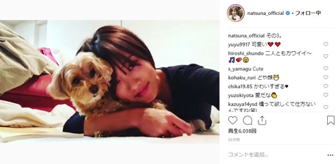 夏菜 こむぎ 新しい王様 犬 トイプー マルチーズ