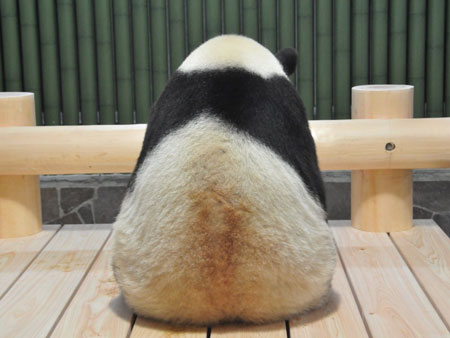 おにぎりタンタン1