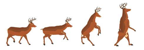 ごく普通のシカのゲーム DEEEER Simulator クラウドファンディング CAMPFIRE