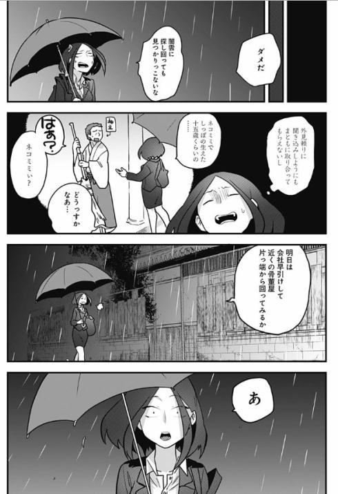 癒しの猫耳ちゃん31