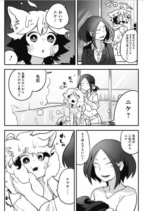 癒しの猫耳ちゃん41