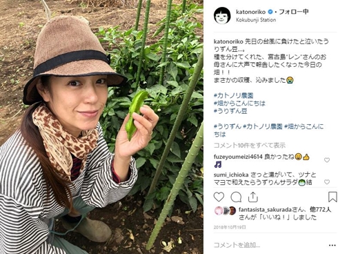 加藤紀子 ヘアドネーション ヘアードネーション 髪 現在