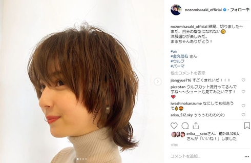佐々木希 ウルフカット ヘアスタイル ショートカット パーマ