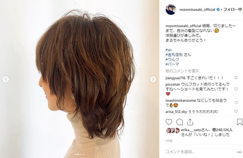 佐々木希 ウルフカット ヘアスタイル ショートカット パーマ