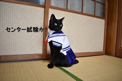 インフル予防ポスター