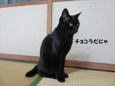 インフル予防ポスター