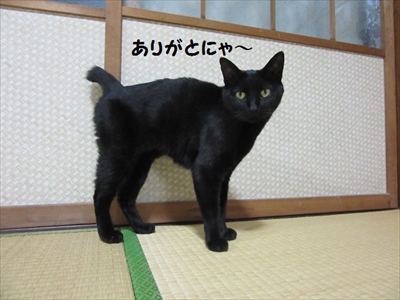 インフル予防ポスター