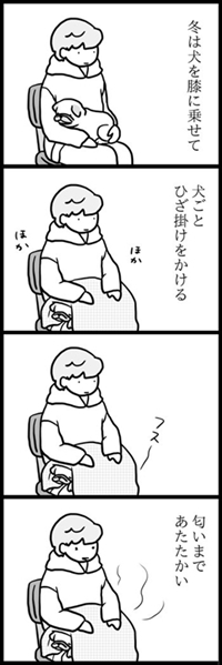 パグのめーちゃん