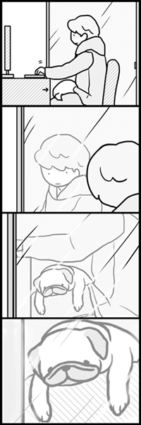 パグのめーちゃん