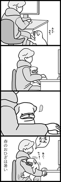 パグのめーちゃん