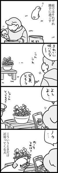 パグのめーちゃん