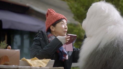 意識高すぎ！高杉くん 神木隆之介 細杉くん 中川大志 松本穂香 宮崎美子 au KDDI CM