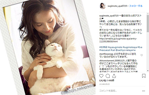 杉本彩 ペット 犬 猫 里親 動物愛護 アントニオ