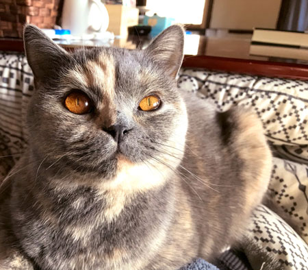 ブンちゃんドアップ