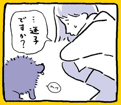 迷子犬 みつけた エッセイ 漫画 連絡先 ドッグタグ