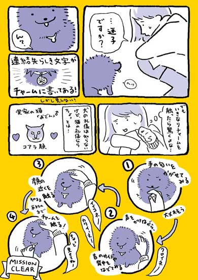 迷子犬 みつけた エッセイ 漫画 連絡先 ドッグタグ