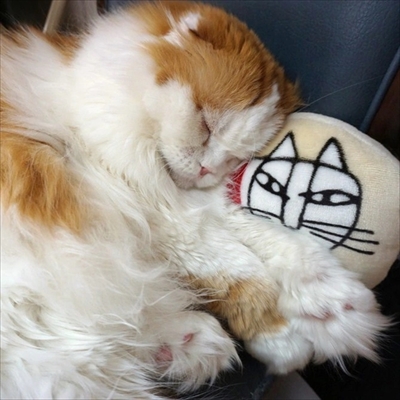 なめネコれおくんピーチくん
