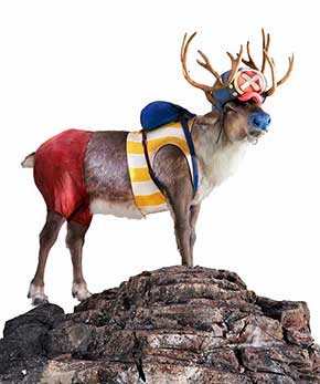 Indeed Japan CM ワンピース ONE PIECE 実写 麦わら海賊団 チョッパー