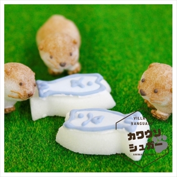 カワウソシュガー