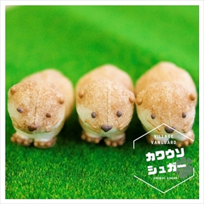 カワウソシュガー