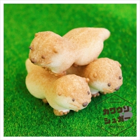 カワウソシュガー