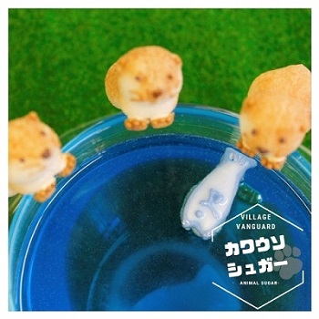 カワウソシュガー