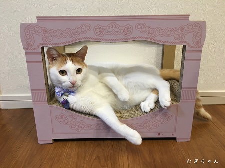 ニャンメルベッド