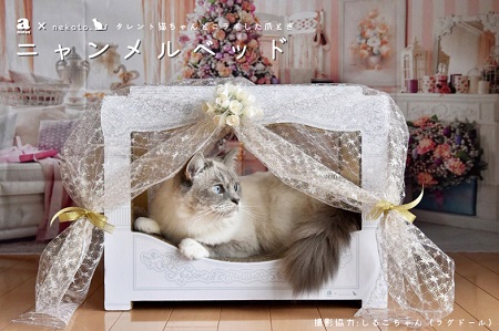 ニャンメルベッド