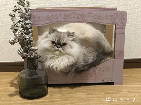 ニャンメルベッド