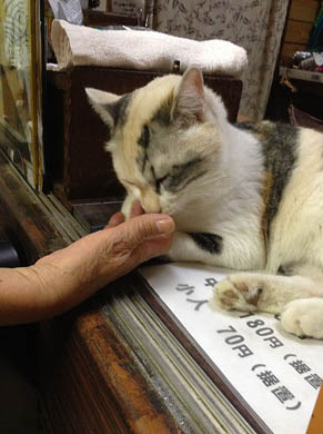 浦和なのに鹿島湯