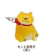 もっと拒否犬茶