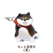 もっと拒否犬黒