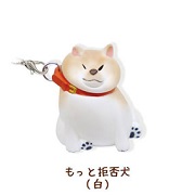 もっと拒否犬白