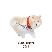 見返り拒否犬白