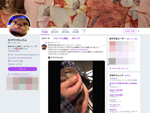 ちぃたん活動停止申し入れ